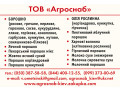 molocnyi-porosok-suxie-molocnye-produkty-small-1