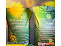 soniasnik-sinelnikivskii-ultrarannii-sur-75-80-dniv-fr-premium-small-1