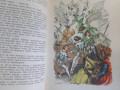 gans-xristian-andersen-dikie-lebedi-i-drugie-skazki-1964-maraii-small-4