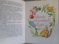 gans-xristian-andersen-dikie-lebedi-i-drugie-skazki-1964-maraii-small-6