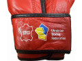 bokserskie-percatki-knock-green-hill-10uncii-small-1