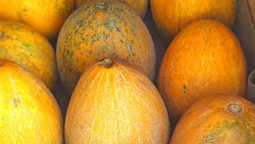 nasinnia-dini-caika-fasovka-1-kg-big-0