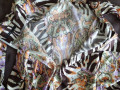 krasivii-nariadnii-vidkritii-sarafan-xudenkim-divcatam-marc-jacobs-ssa-small-3