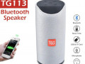 kolonka-portativna-bluetooth-vologostiika-jbl-tg-113-analog-kolir-cornii-small-3