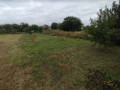 prodam-dva-doma-45-i-33-mkv-29-sotok-berezanovka-uloblastnaia-small-5
