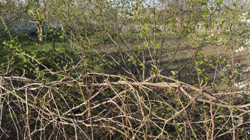 proponuiu-kupiti-dilianku-v-pidgorodnyomu-vulvisneva-big-3