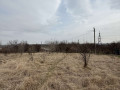prodam-dacnu-dilianku-poriad-z-antonivskimi-stavkami-small-6