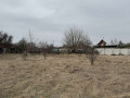 prodam-dacnu-dilianku-poriad-z-antonivskimi-stavkami-small-4