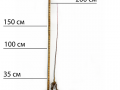 sadzanci-slivi-empres-1-ricnii-small-1