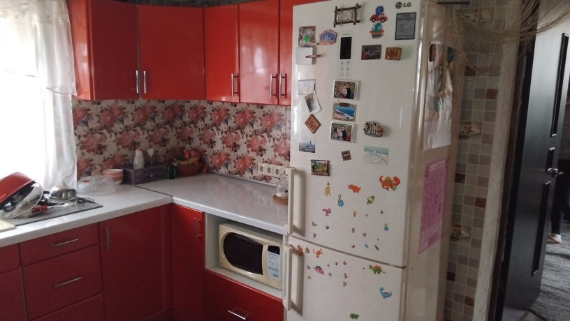 prodaz-1-poverxovogo-budinku-v-s-novoborisivka-odeskoyi-oblasti-big-7