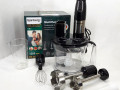 zanuriuvalnii-multi-blender-4v1-rainberg-rb-2238-1200-vt-small-1