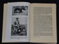 afrika-rasskazyvaet-1943-goda-small-2