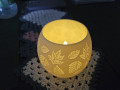 cainii-pidsvicnik-small-4