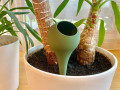 globus-dlia-polivu-roslin-small-2