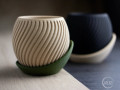 xviliaste-kaspo-small-3