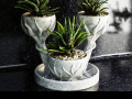 gorshhik-dlia-kvitiv-three-cups-small-2