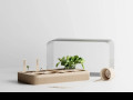 sproutnest-vas-domasnii-sadocok-small-3