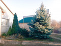 prodaz-1-poverxovogo-budinku-z-garazem-i-diliankoiu-na-10-sotok-v-m-bastanka-small-5