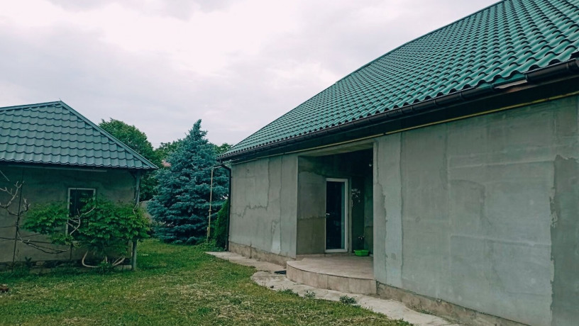 prodaz-1-poverxovogo-budinku-z-garazem-i-diliankoiu-na-10-sotok-v-m-bastanka-big-2
