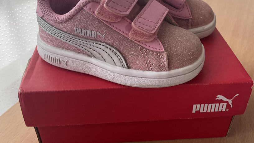 kedi-puma-ditiaci-big-0