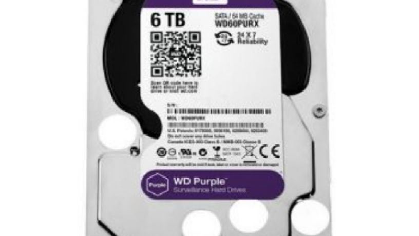 wd60purx-zorstkii-disk-6tb-big-0