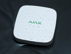 Ajax LeaksProtect