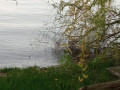 budinok-z-vlasnim-beregom-dnipra-small-2