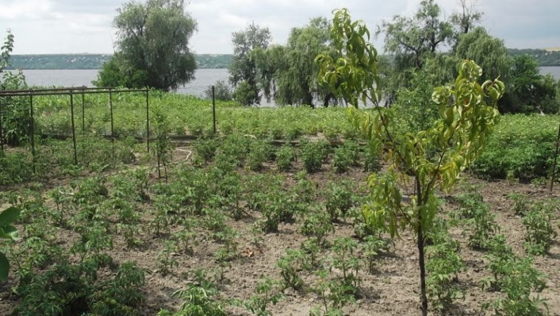 budinok-z-vlasnim-beregom-dnipra-big-6