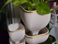 gorshhik-dlia-roslin-shho-samopolivajetsia-small-0