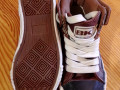 kedi-british-knights-small-3