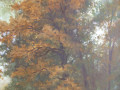 zas-xudukriu-sevcenko-raz-75-x-55-sm-xm-2003-g-uzgorodskii-park-small-2