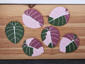 nabir-pidstavok-alocasia-black-velvet-small-2