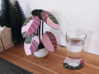 Набір підставок Alocasia Black Velvet,