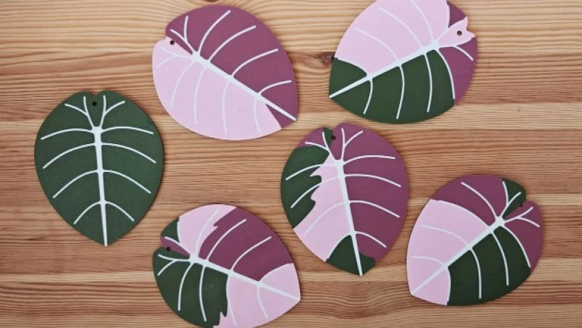 nabir-pidstavok-alocasia-black-velvet-big-2