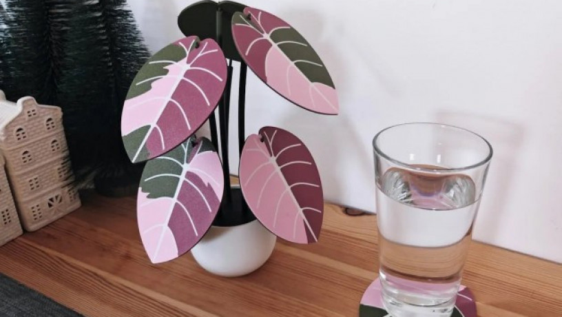 nabir-pidstavok-alocasia-black-velvet-big-0