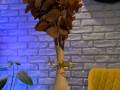 vaza-v-stili-modern-seredini-stolittia-small-0