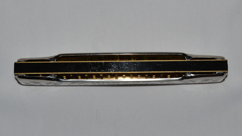 gubnaia-garmoska-mhohner-big-7