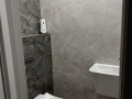 prodam-budinok-mriyi-1165-m2-zelenii-gai-small-3