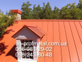 proflist-dlia-zabora-8004-matovyi-small-2