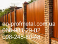 profnastil-dlia-parkanu-8004-matovii-small-3