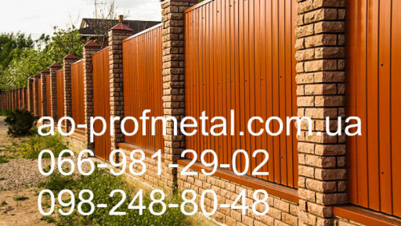 profnastil-dlia-parkanu-8004-matovii-big-3