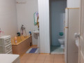 prodaz-1-poverxovogo-budinku-z-diliankoiu-na-6-sotok-v-selishhi-novi-sanzari-small-6