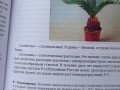 kniga-komnatnye-rasteniia-novoe-rukovodstvo-po-uxodu-voroncov-v-v-small-5