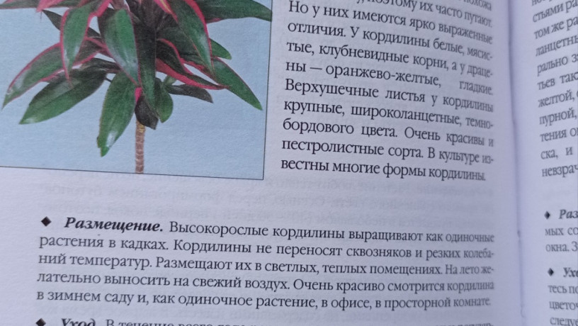 kniga-komnatnye-rasteniia-novoe-rukovodstvo-po-uxodu-voroncov-v-v-big-3