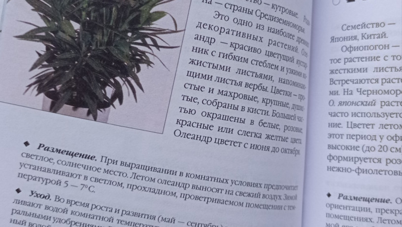 kniga-komnatnye-rasteniia-novoe-rukovodstvo-po-uxodu-voroncov-v-v-big-4