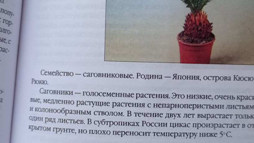 kniga-komnatnye-rasteniia-novoe-rukovodstvo-po-uxodu-voroncov-v-v-big-5
