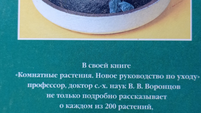 kniga-komnatnye-rasteniia-novoe-rukovodstvo-po-uxodu-voroncov-v-v-big-2