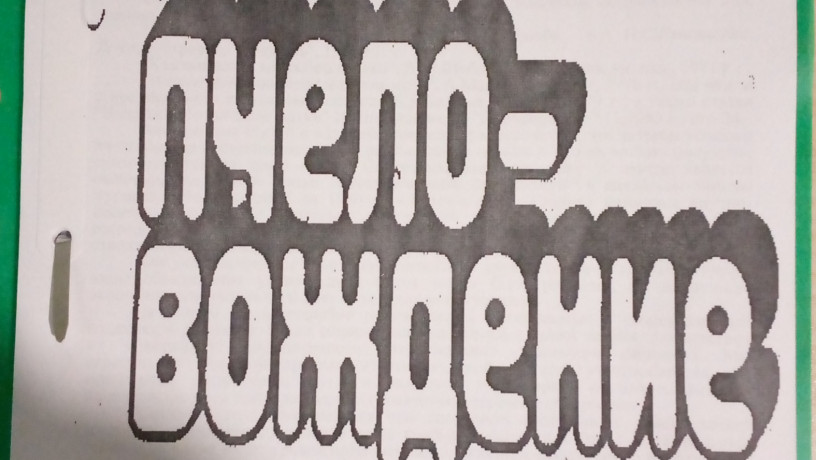 racionalnoe-dvuxmatocnoe-pcelovozdenie-big-0