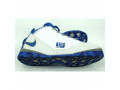 krosivki-velikii-rozmir-nike-lebron-49-495-rozmir-small-4