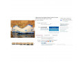 krosivki-velikii-rozmir-nike-lebron-49-495-rozmir-small-1